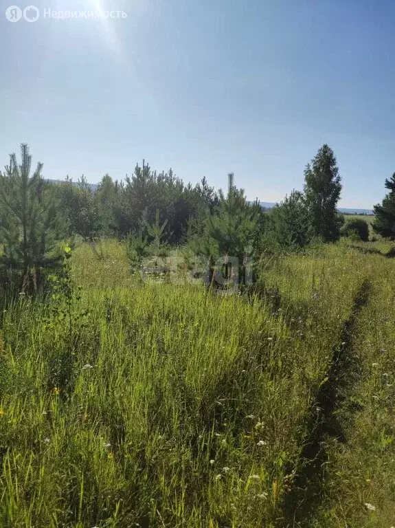 Участок в Нижегородская область, Богородский муниципальный округ, село ... - Фото 1