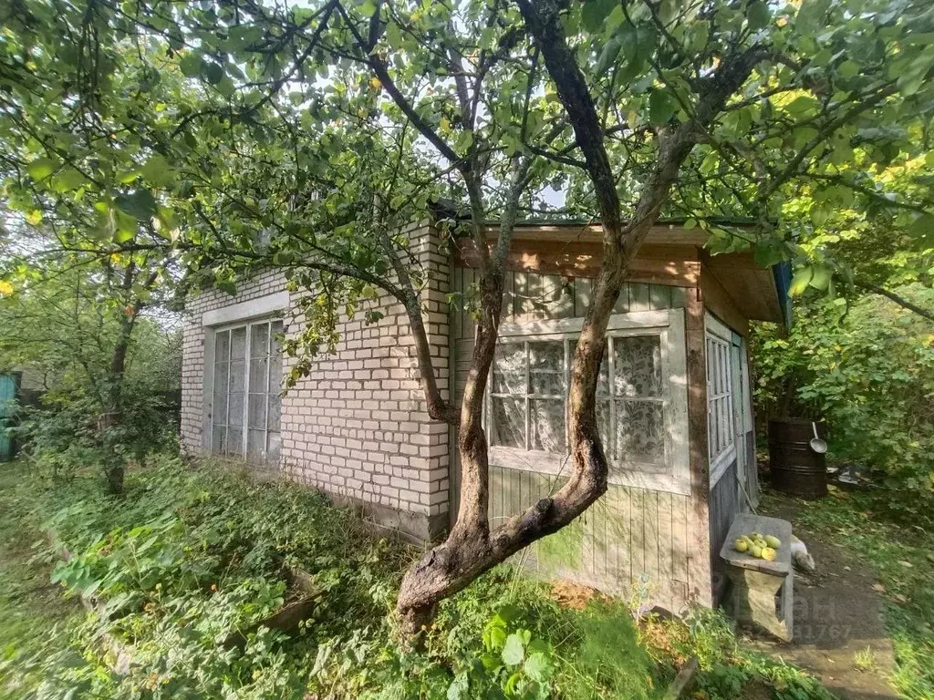 Дом в Новгородская область, Пестово ул. Грибоедова, 20А (51 м) - Фото 1