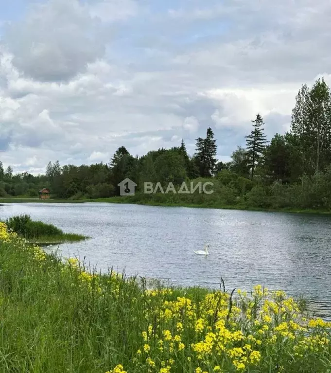 Участок в Ленинградская область, Волосовский район, Большеврудское ... - Фото 1