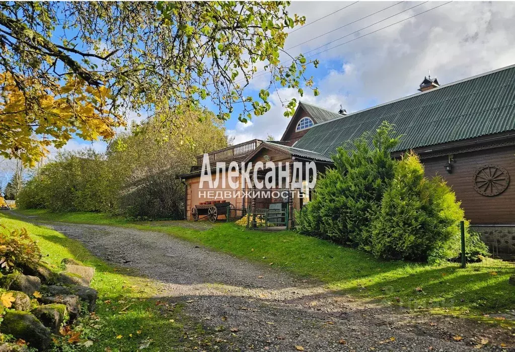 Дом в Псковская область, Гдов городское поселение, д. Дулево  (122 м) - Фото 2