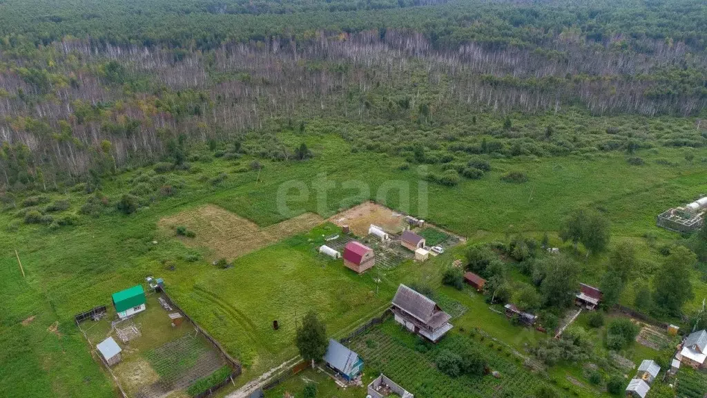 Участок в Тюменская область, Тюмень СОСН Сирень тер.,  (8.0 сот.) - Фото 0