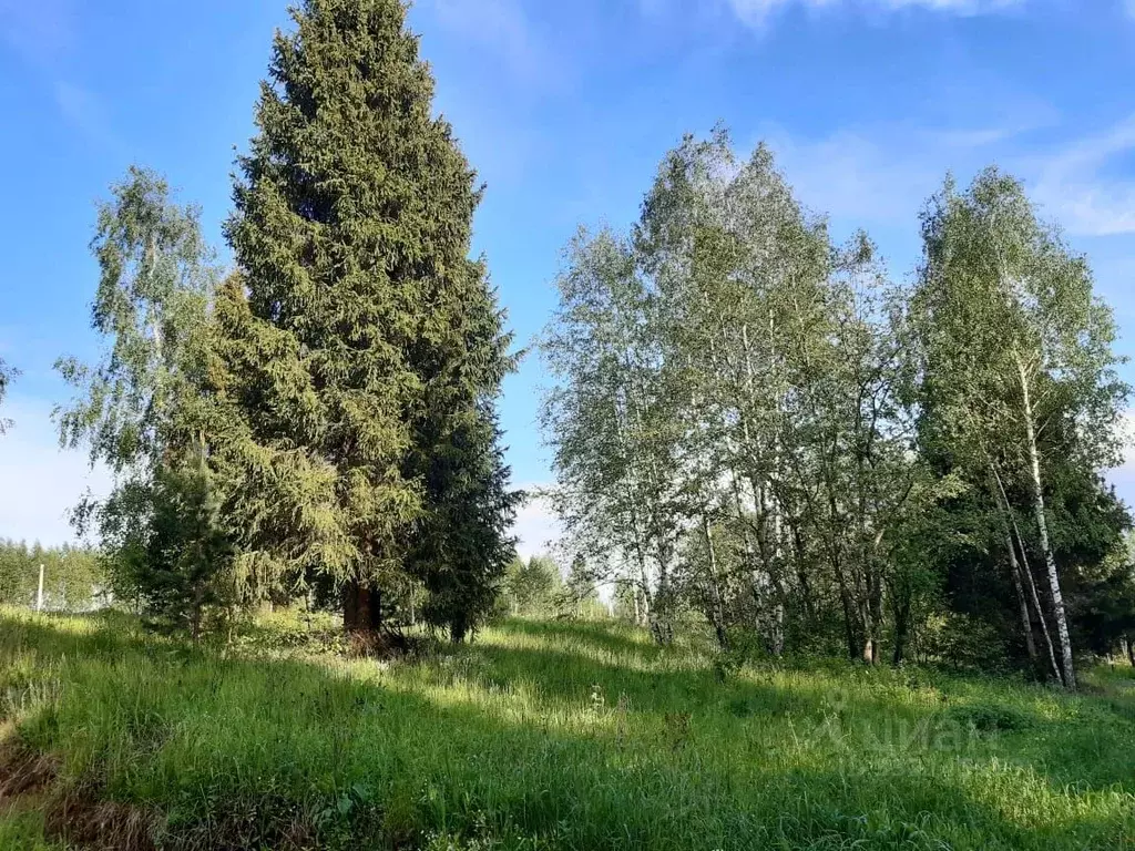 Участок в Московская область, Одинцовский городской округ, с. Ершово  ... - Фото 1