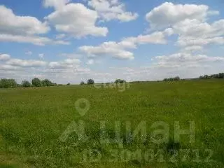 участок в челябинская область, красноармейский район, козыревское . - Фото 1