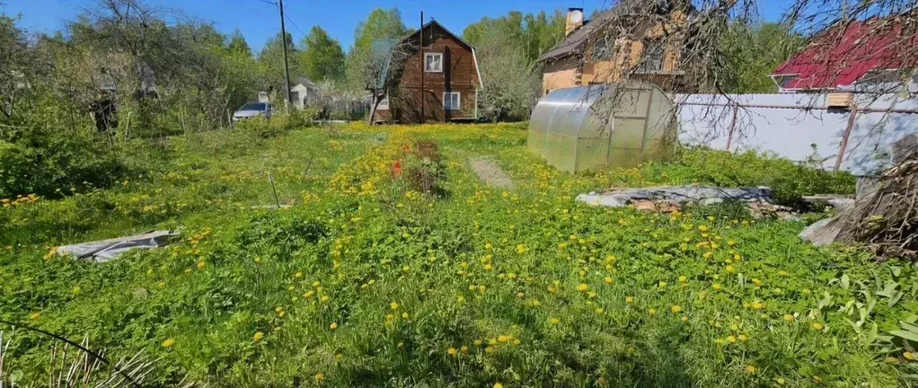 Дом в Московская область, Красноармейск Пушкинский городской округ, ... - Фото 2