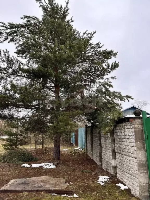 3-к кв. Тверская область, Тверь Инициативная ул., 12 (56.1 м) - Фото 2