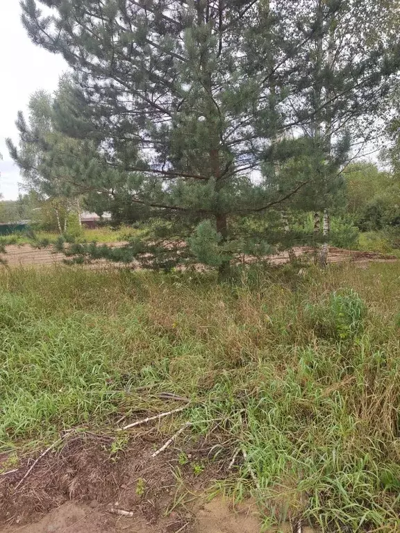 Участок в Московская область, Коломна городской округ, д. Новоселки  ... - Фото 1