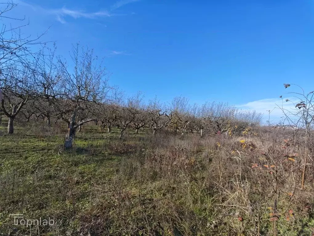 Участок в Кабардино-Балкария, Нальчик пл. 400-летия (6.5 сот.) - Фото 2