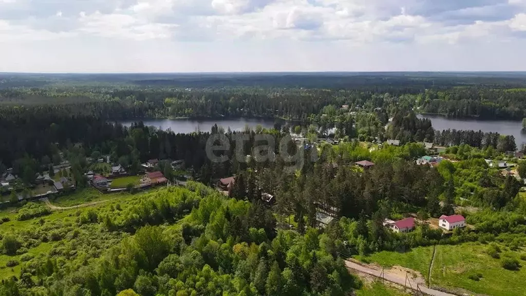 Участок в Ленинградская область, Выборгский район, Рощинское городское ... - Фото 1
