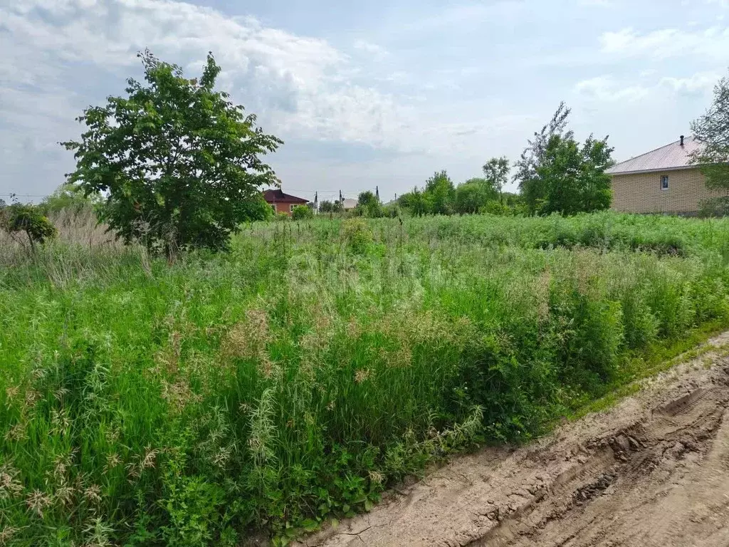 Участок в Амурская область, Благовещенский район, с. Волково  (17.4 ... - Фото 2