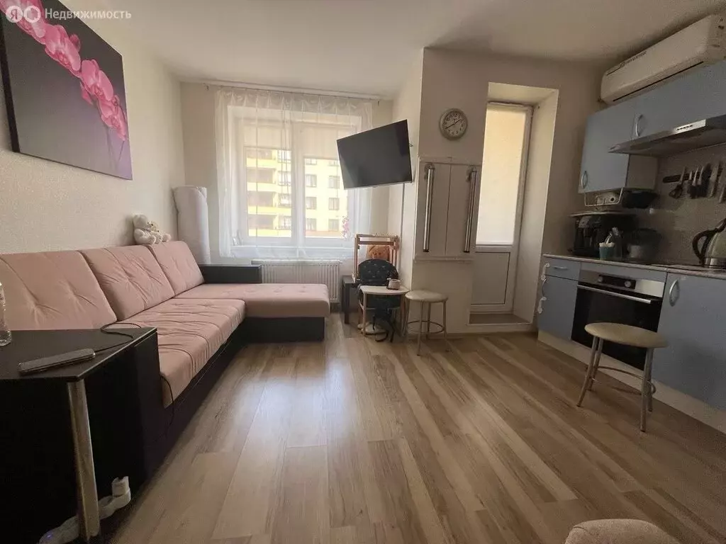 Квартира-студия: Санкт-Петербург, Русановская улица, 16к3 (24.8 м) - Фото 0