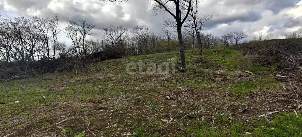 Участок в Краснодарский край, Новороссийск городской округ, Убых хут.  ... - Фото 1