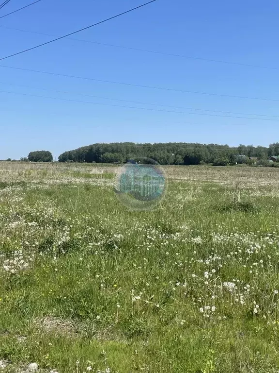 Участок в Московская область, Домодедово городской округ, с. Красный ... - Фото 1