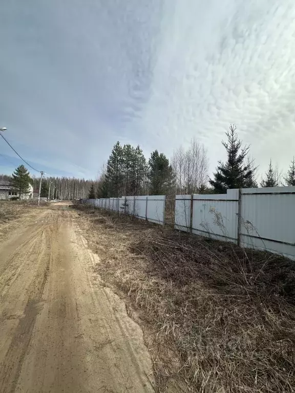 Участок в Нижегородская область, Бор муниципальный округ, д. Княжево ... - Фото 2