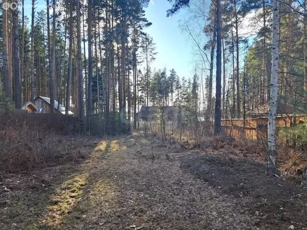 Участок в Шегарский район, СНТ Гармония (8 м) - Фото 2