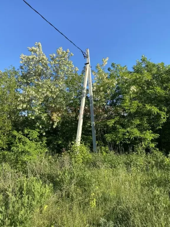 Участок в Ростовская область, Аксайский район, Большелогское с/пос М-4 ... - Фото 1