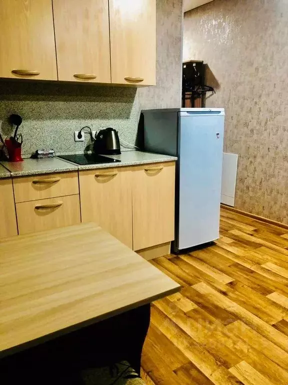 Студия Башкортостан, Уфа ул. Максима Горького, 44 (25.0 м) - Фото 2