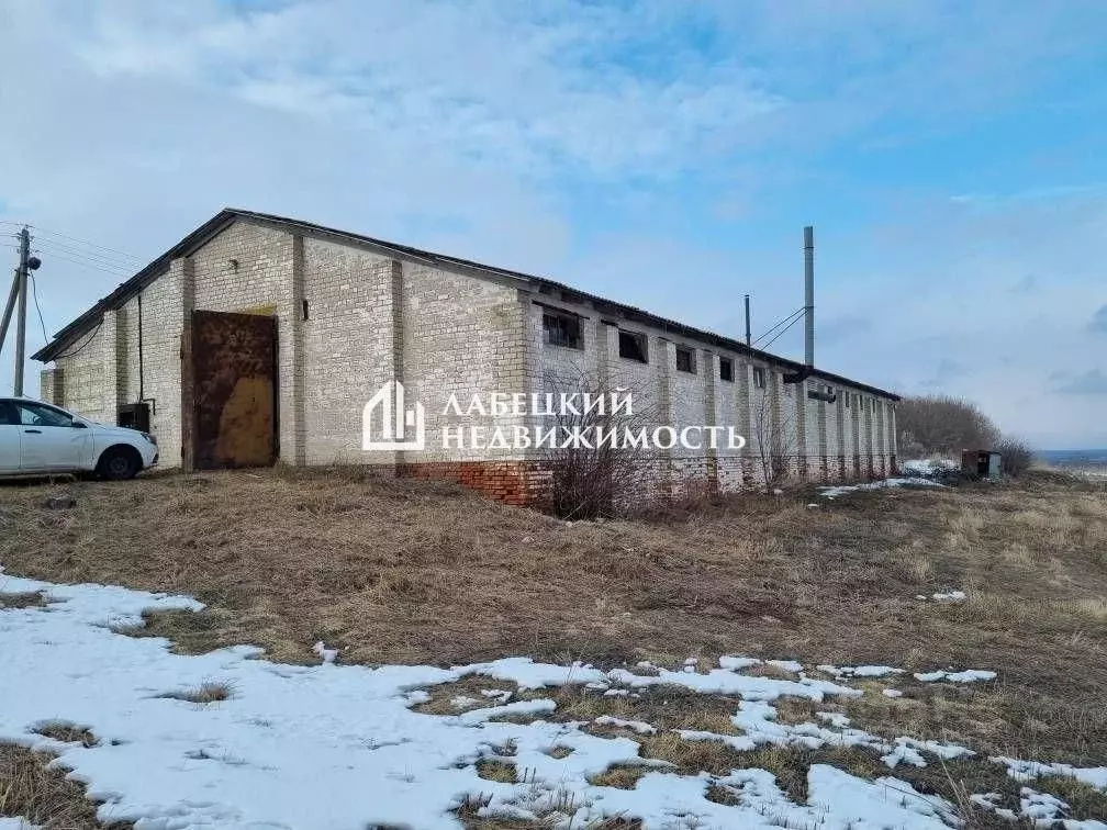 Склад в Воронежская область, Хохольский район, с. Костенки ул. ... - Фото 1