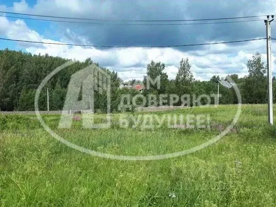 Участок в Пермский край, Чусовской городской округ, д. Борисово ул. ... - Фото 0