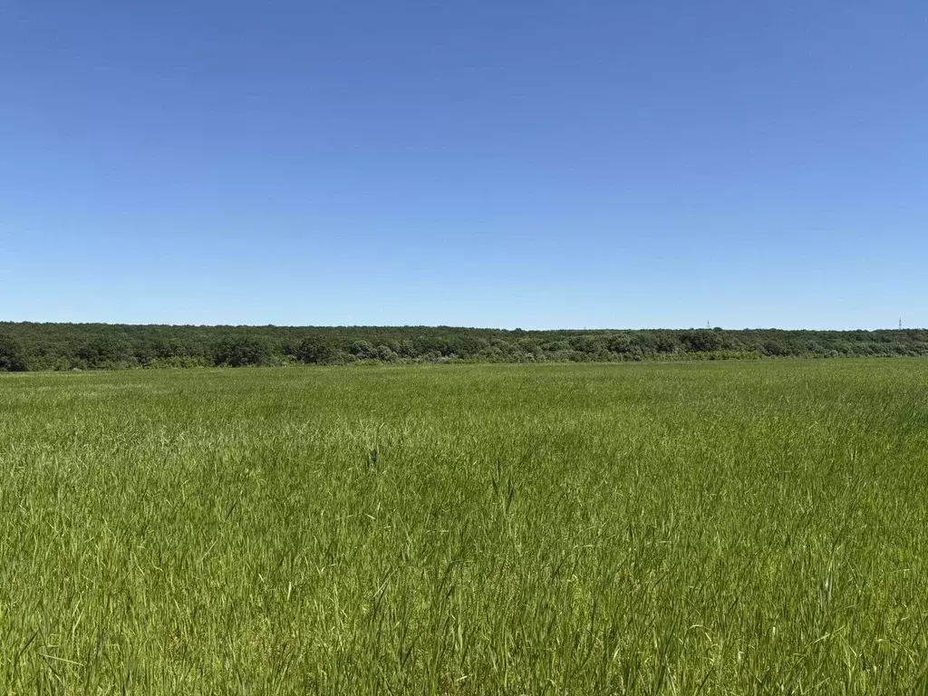 Участок в Краснодарский край, Белореченск ул. Чапаева, 58Б (1.0 сот.) - Фото 1