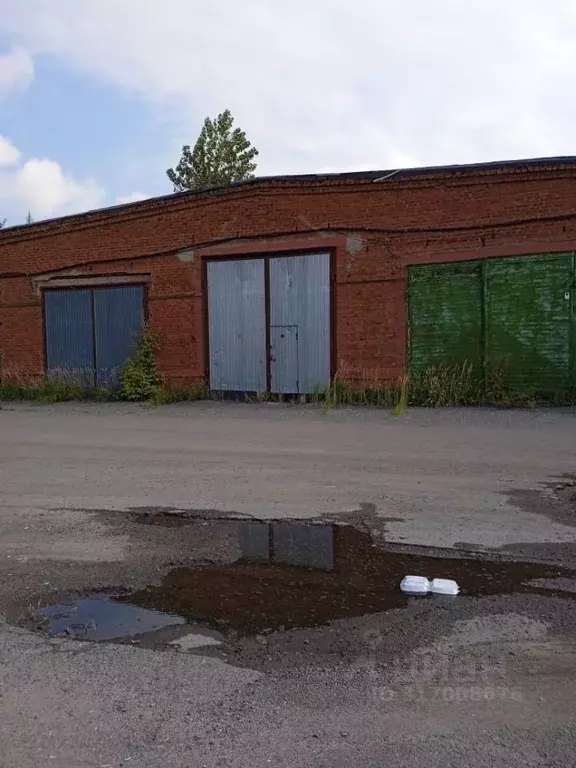 Помещение свободного назначения в Омская область, Омск ул. 10 лет ... - Фото 0