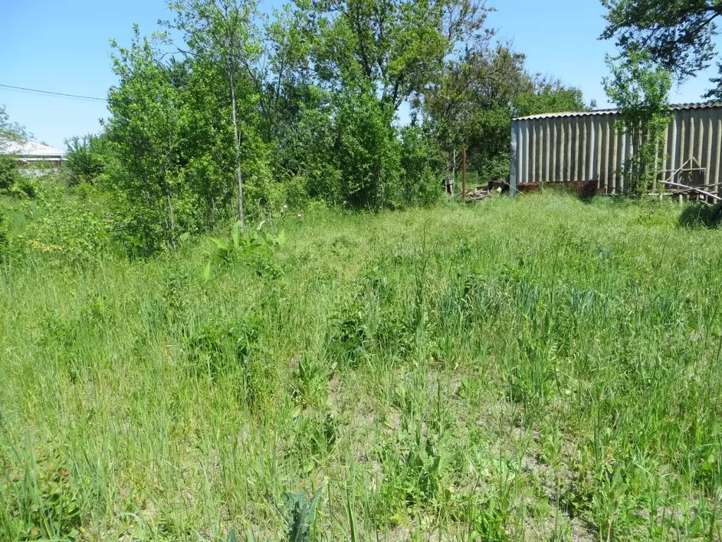Участок в Краснодарский край, Ейск Южное СНТ,  (5.0 сот.) - Фото 1
