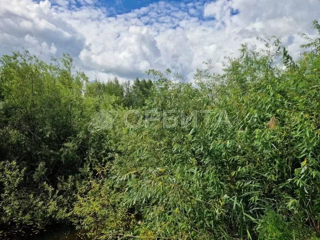 Участок в Тюменская область, Тюмень Ягодное СНТ, ул. Ягодная, 263 ... - Фото 1