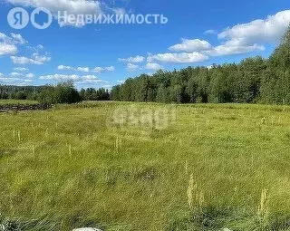 Участок в Тукаевский район, село Бетьки (13 м) - Фото 1