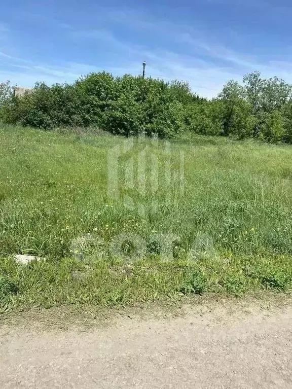 Участок в Воронежская область, Репьевский район, Краснолипьевское ... - Фото 2