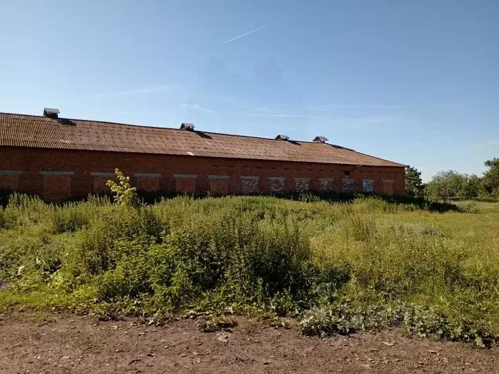 Участок в Свердловская область, Белоярский городской округ, пос. ... - Фото 1