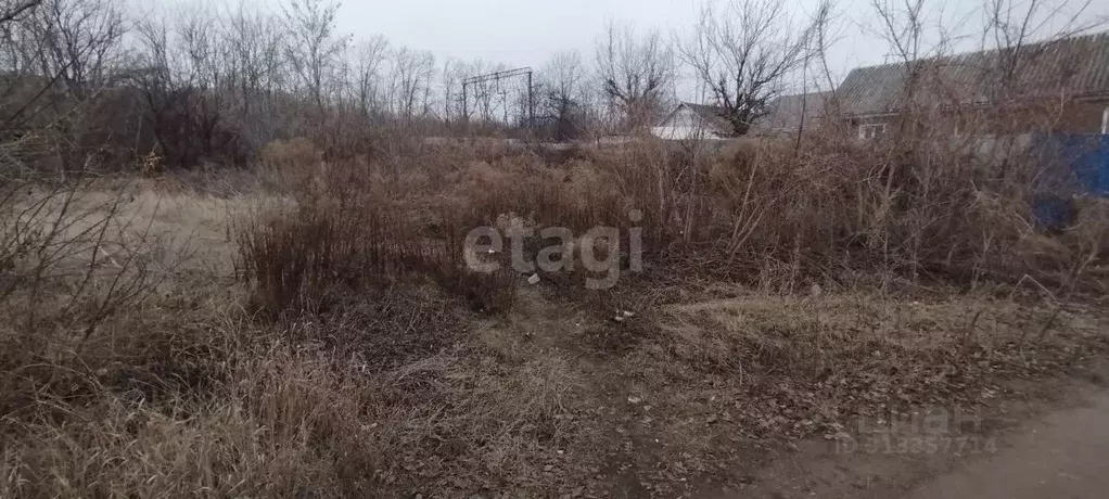 Участок в Белгородская область, Алексеевка пл. Победы (4.0 сот.) - Фото 1