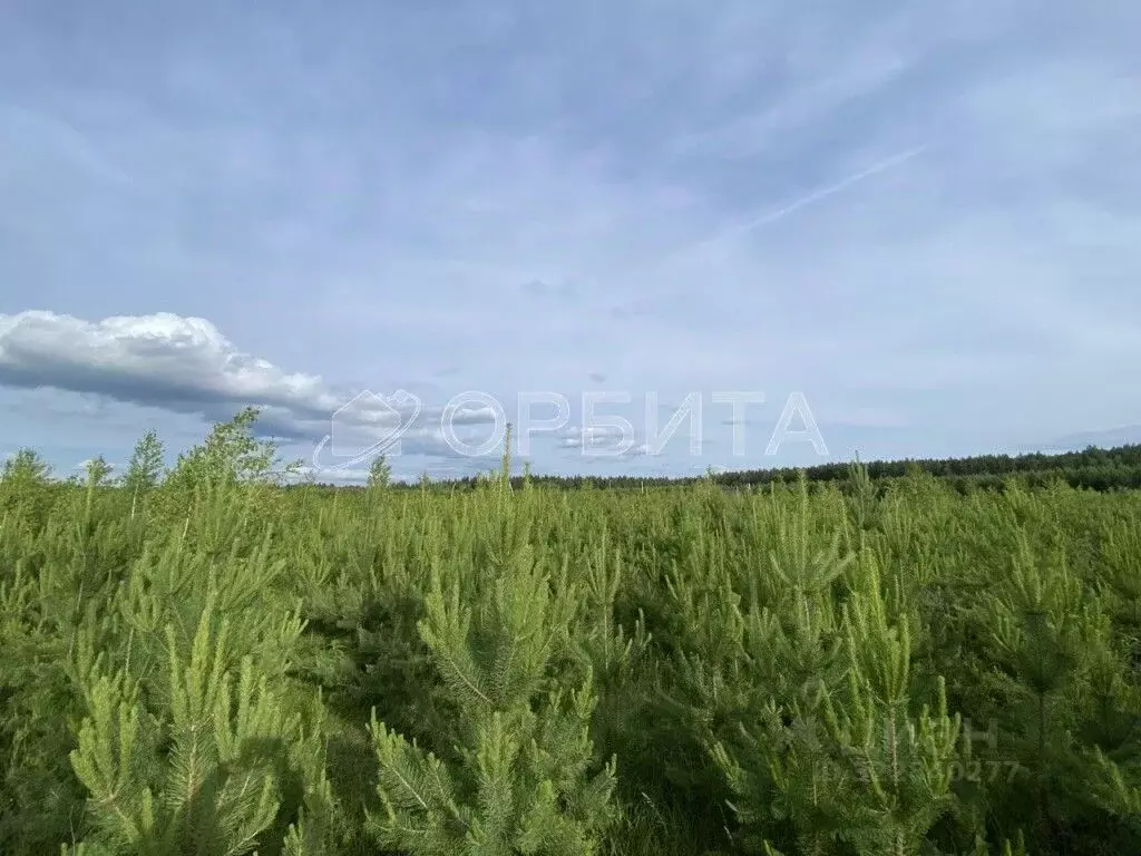 Участок в Свердловская область, Тугулым пгт пл. 50-летия Октября (16.0 ... - Фото 2