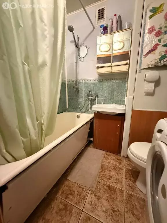 1-комнатная квартира: Сестрорецк, Приморское шоссе, 304 (31.8 м) - Фото 1