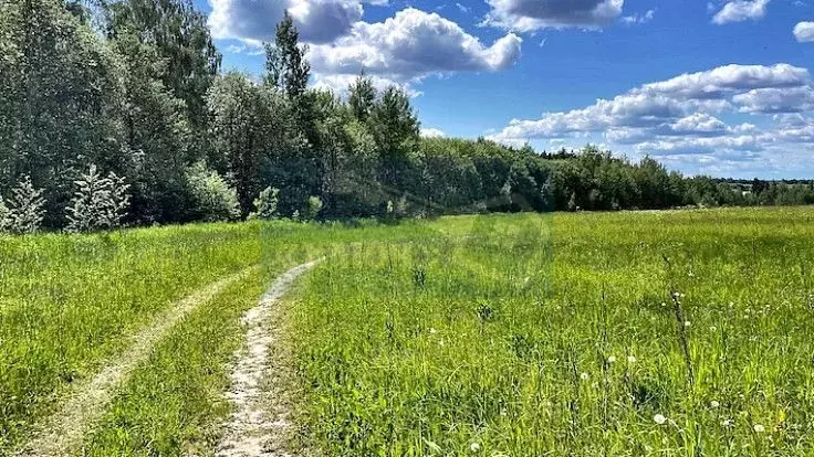 Участок в Московская область, Чехов муниципальный округ, д. Якшино  ... - Фото 1