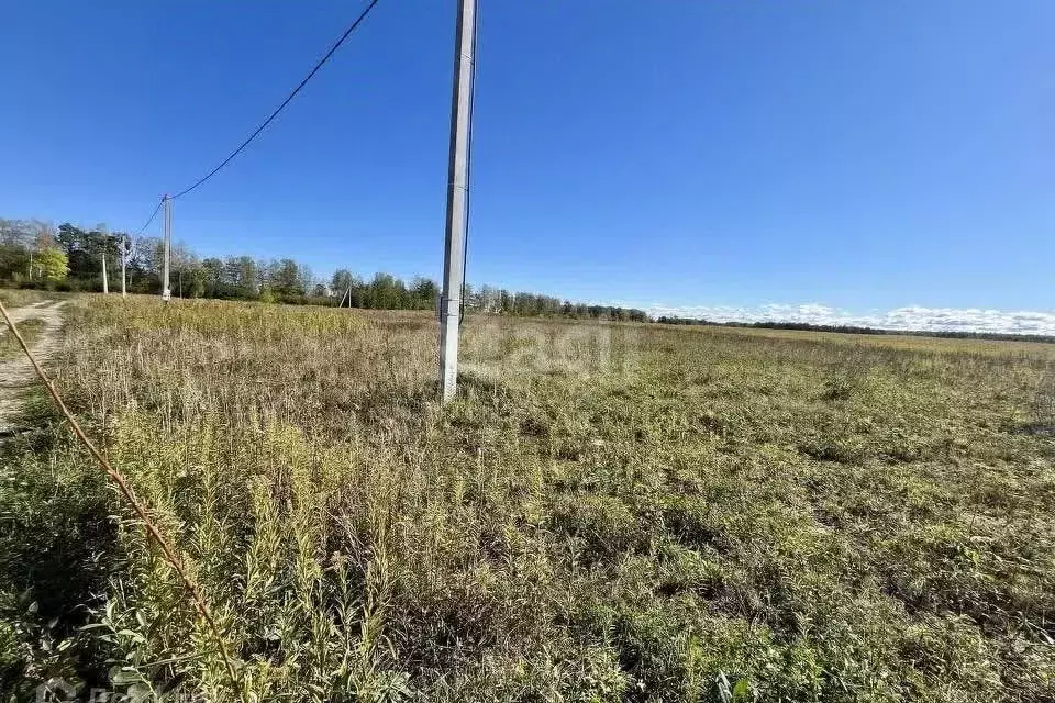 Участок в Кировская область, Кирово-Чепецкий район, Кстининское с/пос, ... - Фото 1