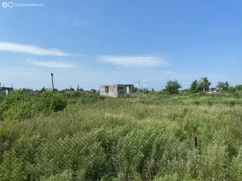 Участок в Курган, СНТ Нива, улица Культуры (6 м) - Фото 1
