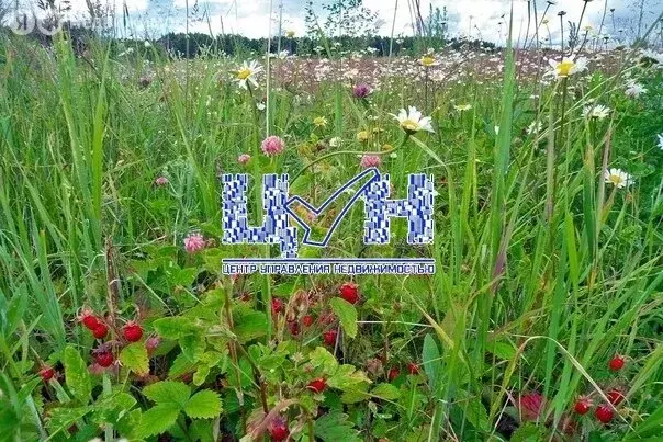 Участок в Курский район, Нижнемедведицкий сельсовет, деревня ... - Фото 2