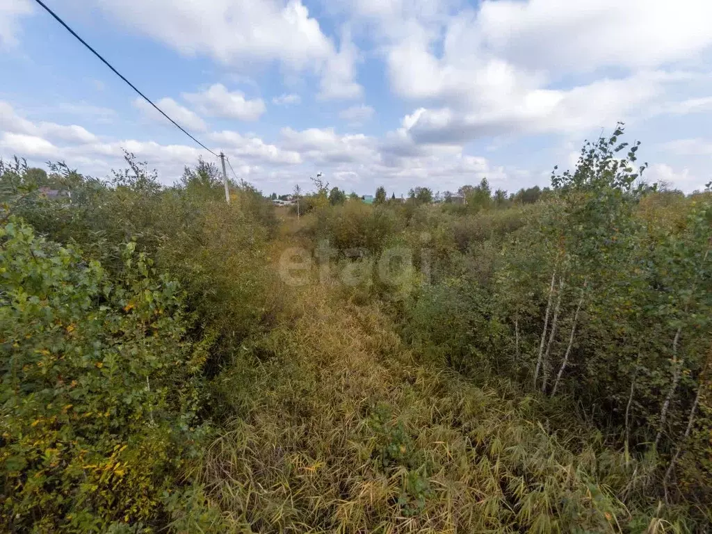 Участок в Тюменская область, Тюмень СОСН Изыскатель тер., ул. ... - Фото 1