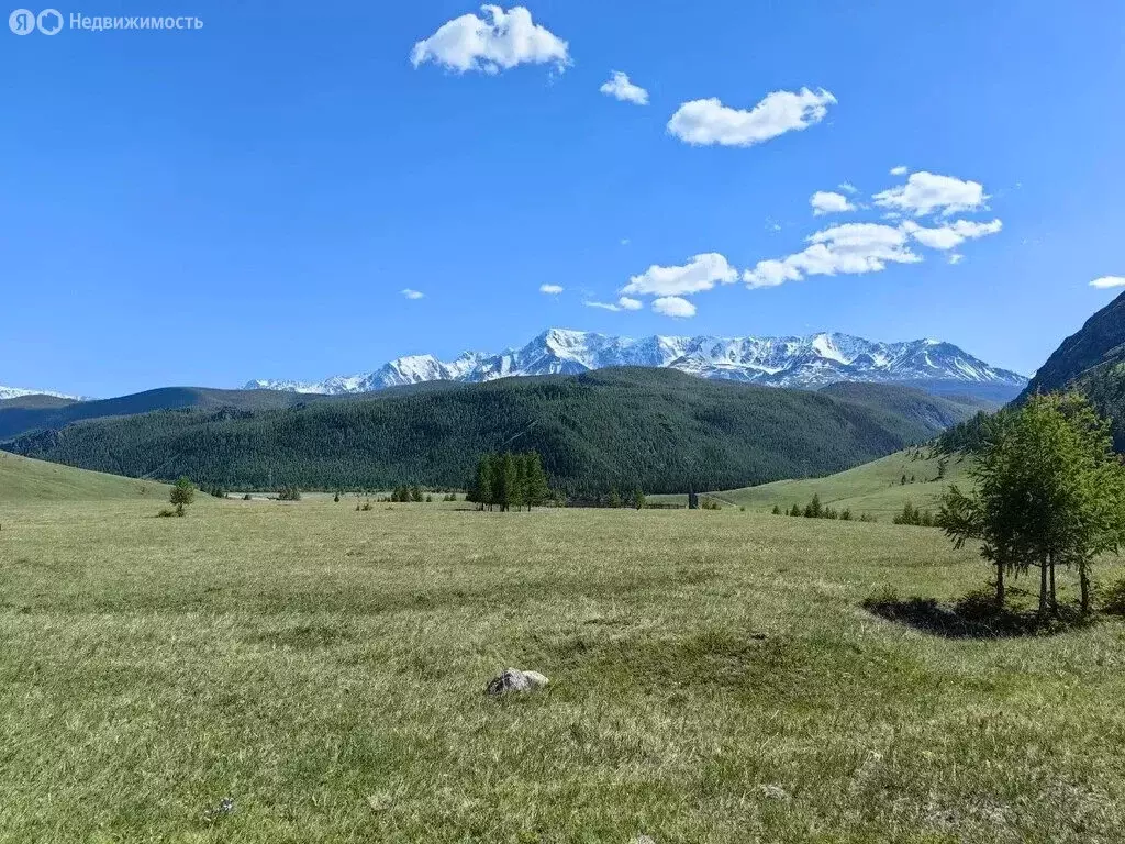 Участок в Улаганский район, Чибитское сельское поселение (10 м) - Фото 0