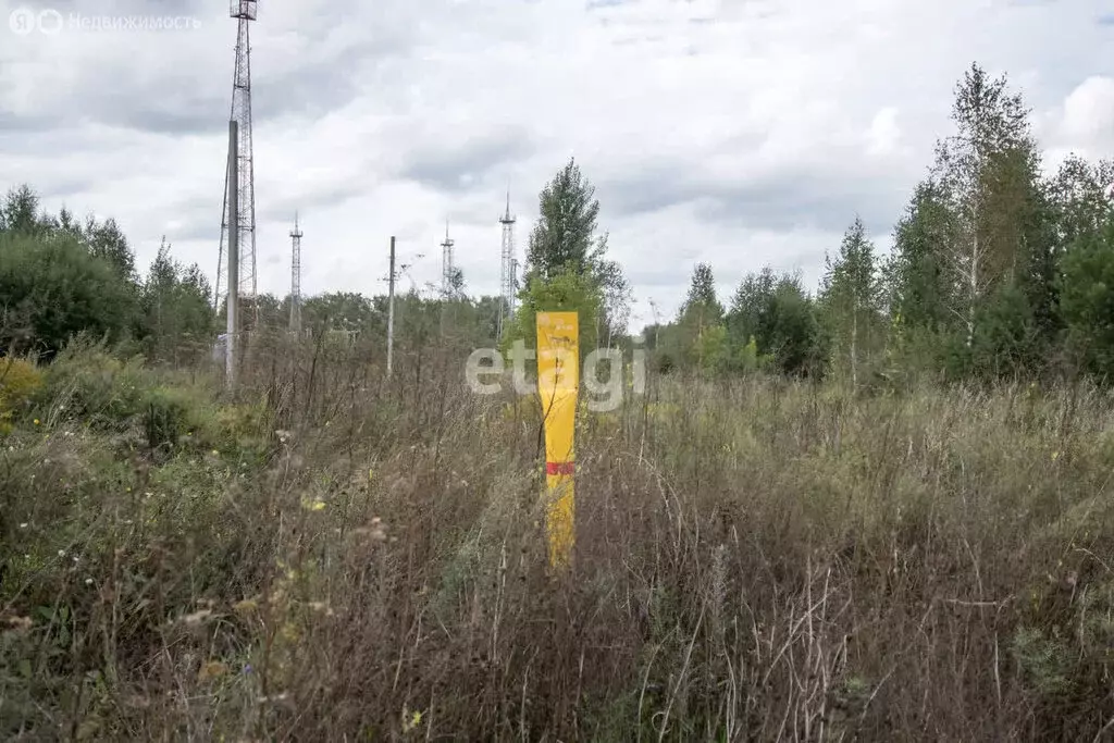 Участок в Искитимский район, село Морозово (10 м) - Фото 0