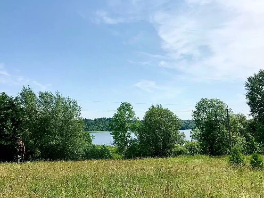 Участок в Новгородская область, Валдайский район, Короцкое с/пос, пос. ... - Фото 1
