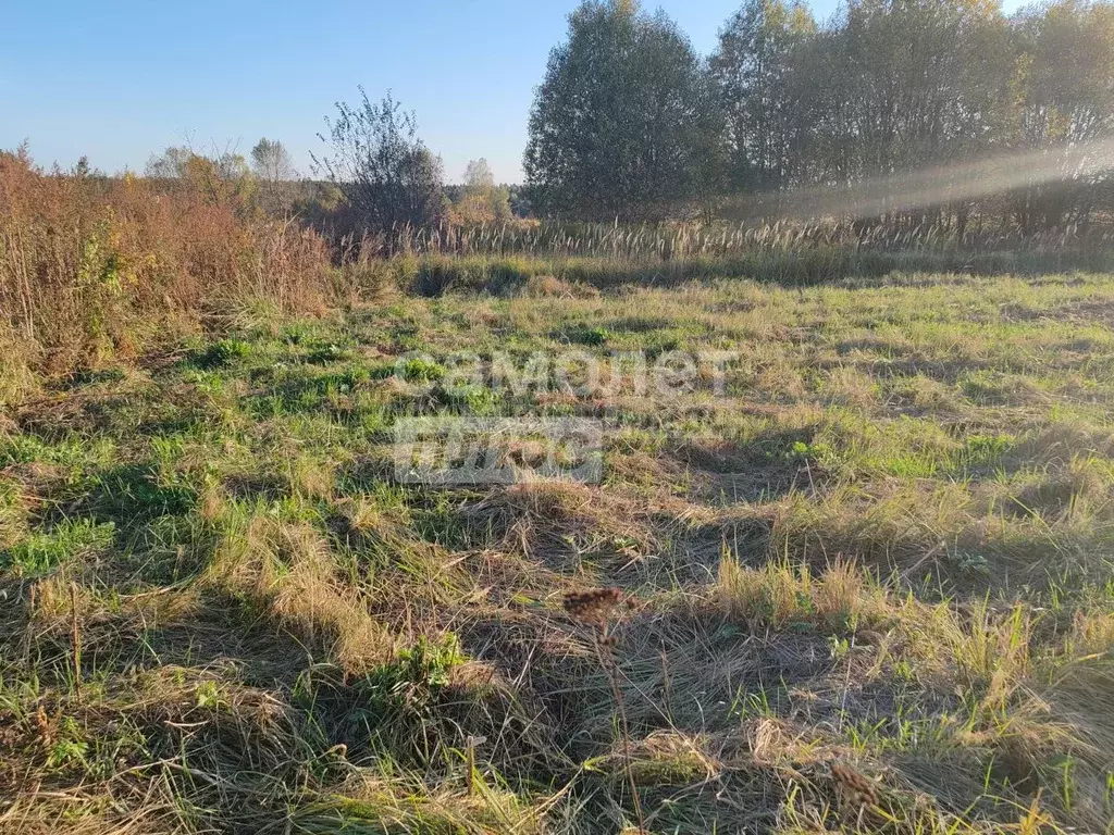 Участок в Калужская область, Калуга городской округ, д. Колюпаново ул. ... - Фото 2