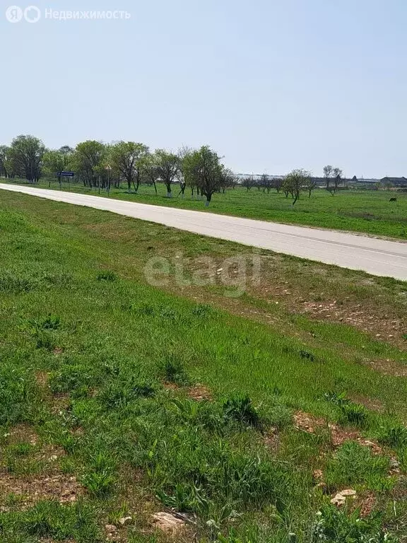 Участок в Оленевка, улица Ленина (24.3 м) - Фото 2