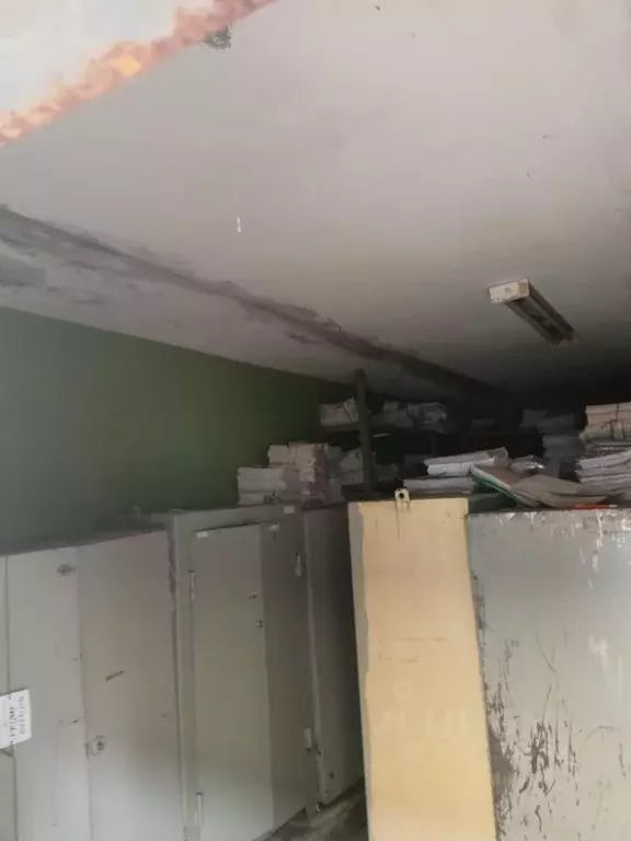 Помещение свободного назначения в Чувашия, Чебоксары ул. Декабристов, ... - Фото 0