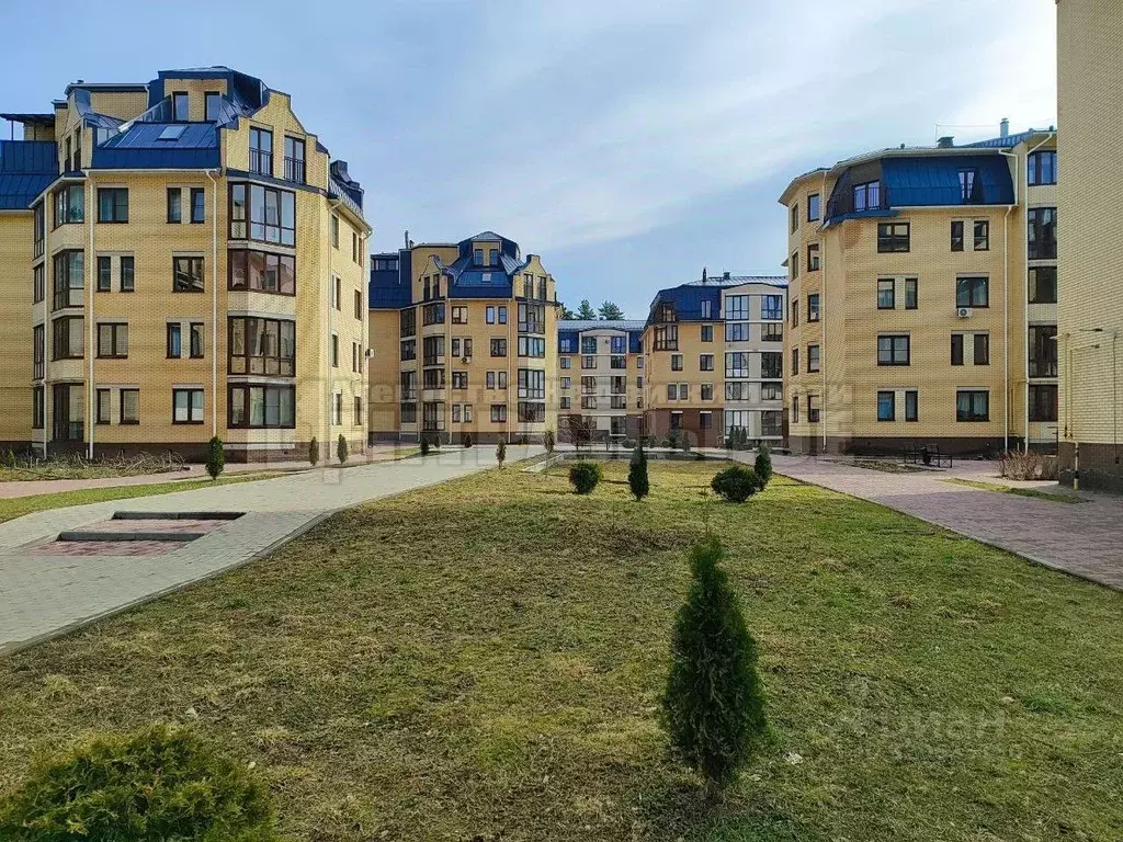 1-к кв. Смоленская область, Смоленск Красноборская ул., 6к2 (40.6 м) - Фото 2