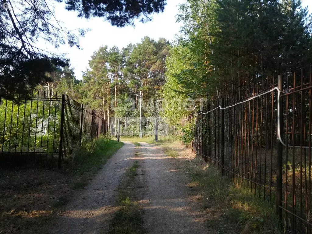 Участок в Синицына, Школьная улица (15 м) - Фото 0