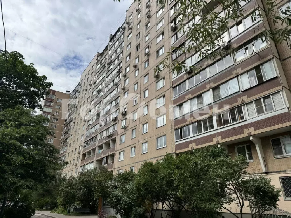 Продается студия - Фото 1