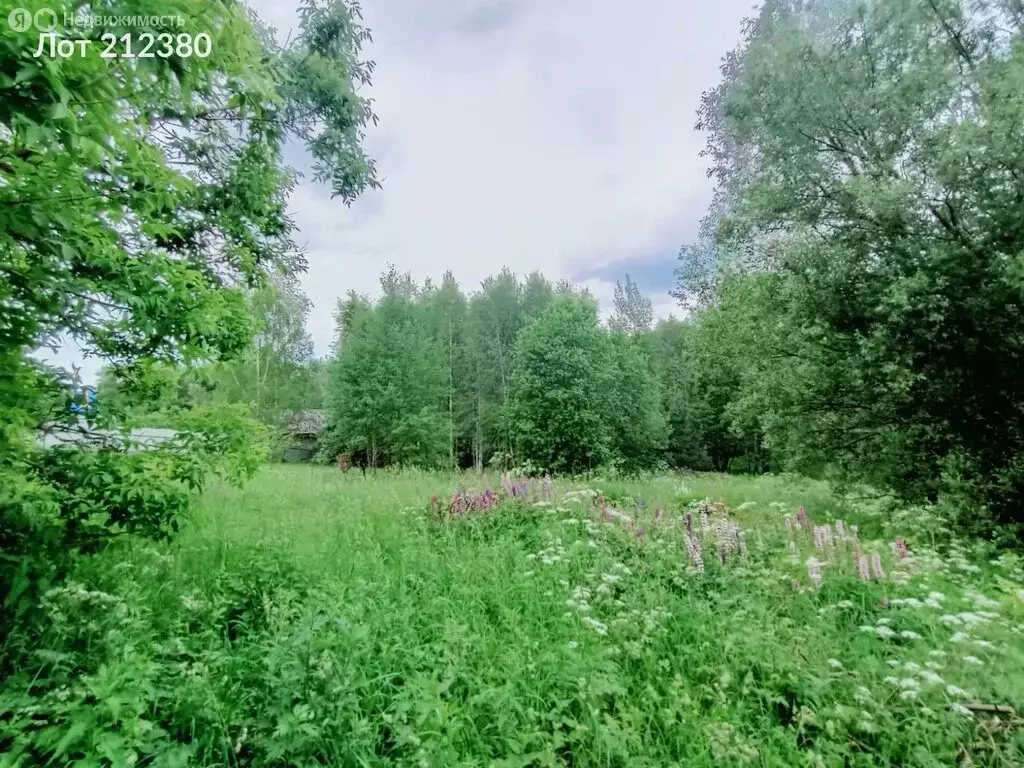 Участок в село Трубино, 99 (8 м) - Фото 1