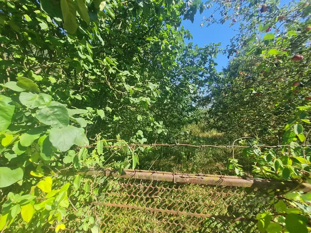 Участок в Краснодарский край, Северский район, Афипское городское ... - Фото 1