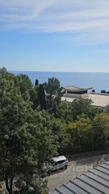 Комната Крым, Ялта муниципальный округ, Симеиз пгт ул. Советская, 12 - Фото 1