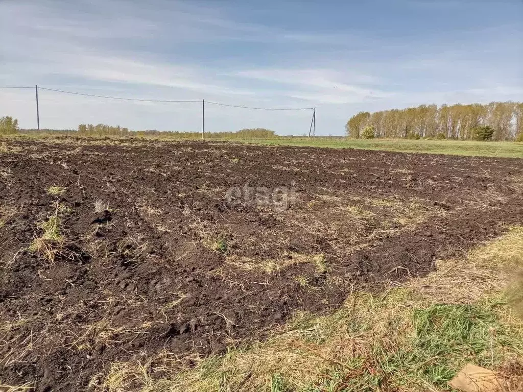 Участок в Свердловская область, Слободо-Туринский район, ... - Фото 0